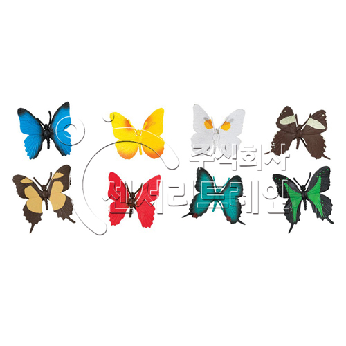 다양한 나비들