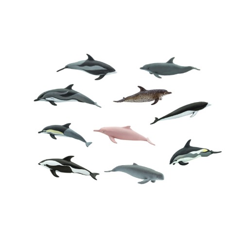 다양한 귀여운 돌고래들