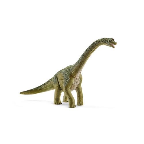 브라키오사우루스 공룡