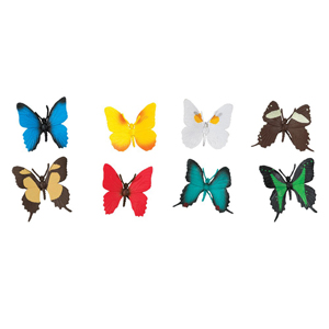 다양한 나비들