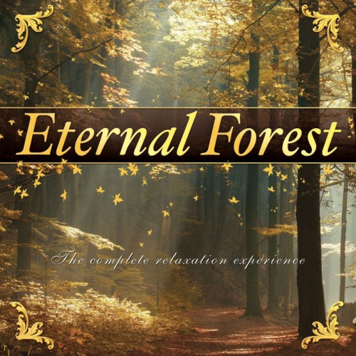 심리안정 힐링음악 (Eternal Forest/영원한 숲) CD
