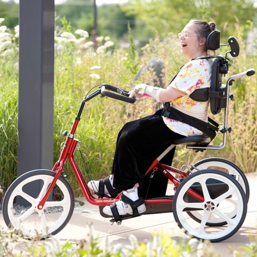 장애아동을 위한 세발자전거(맞춤형 옵션)